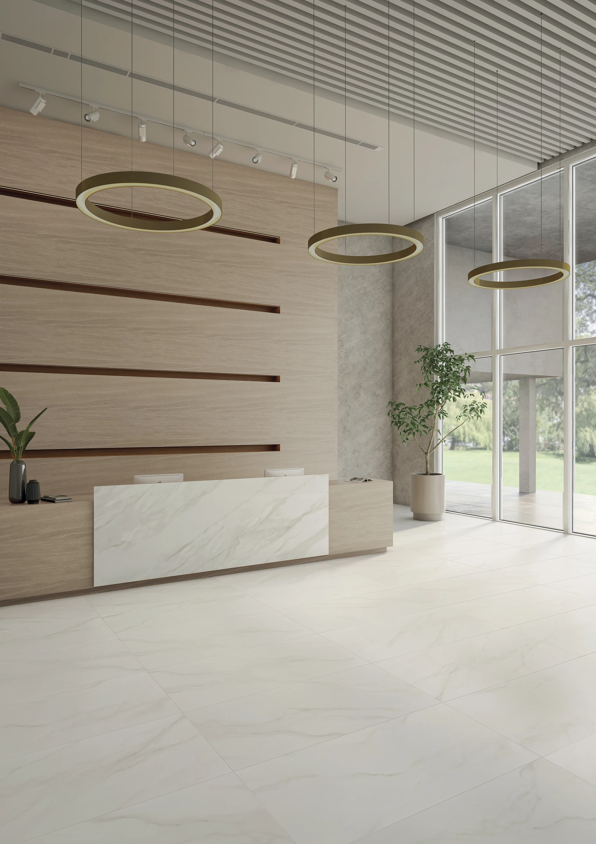 Collection environment image