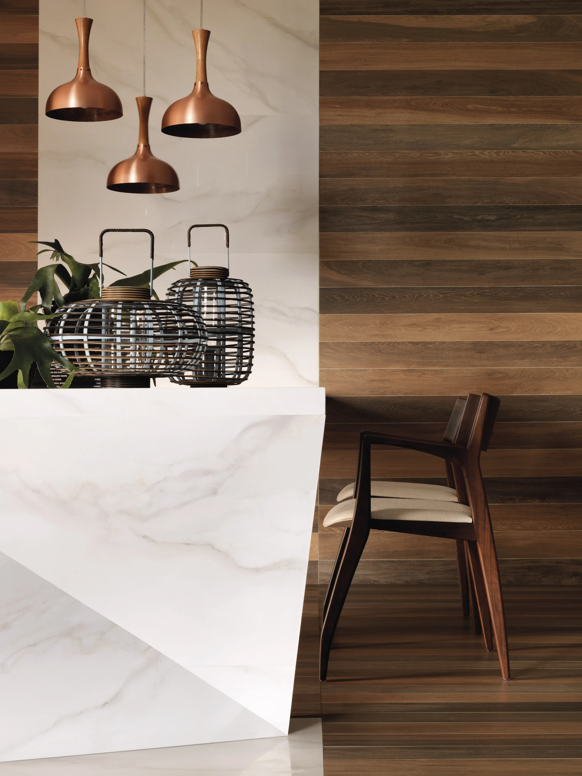 Collection environment image