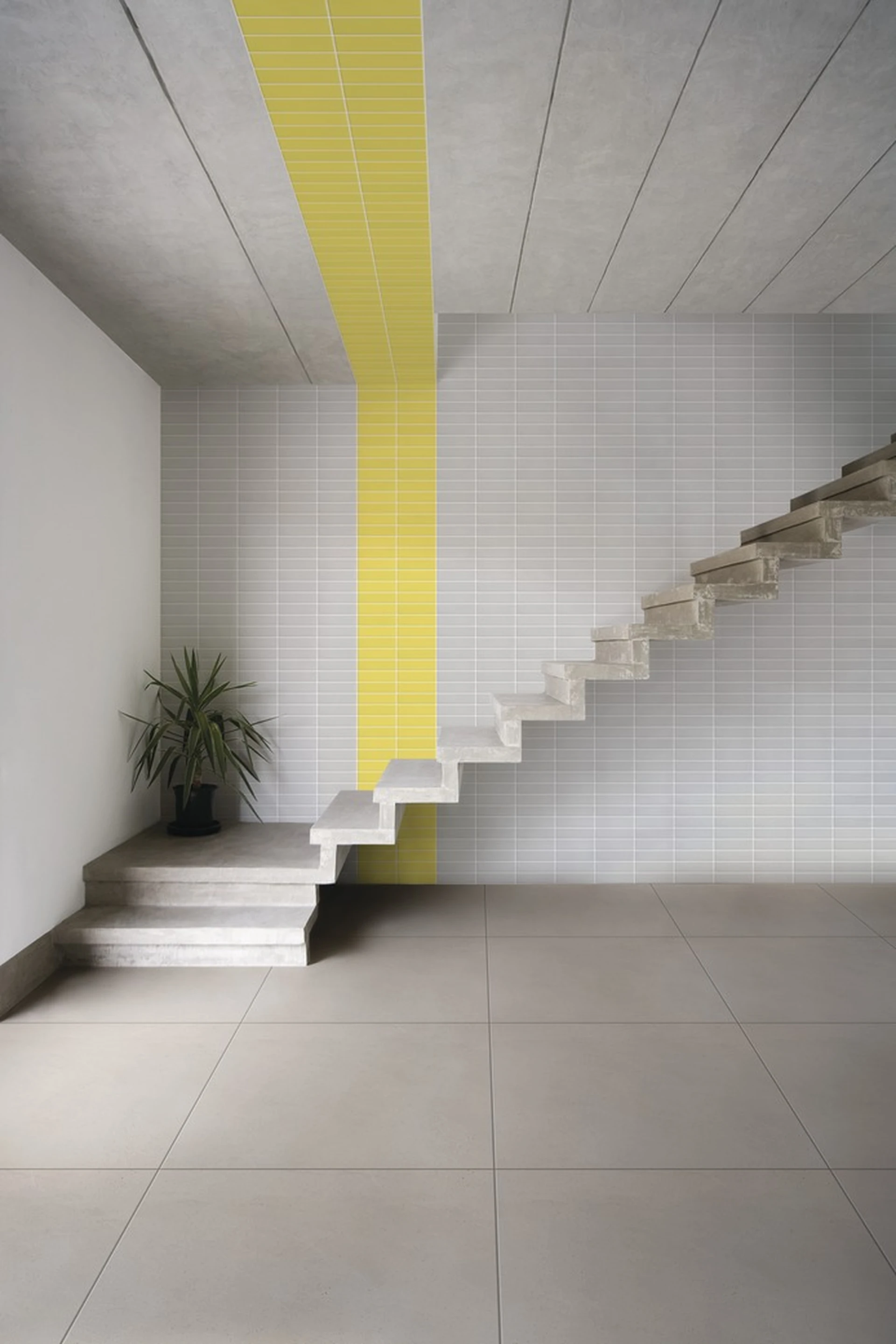 Collection environment image