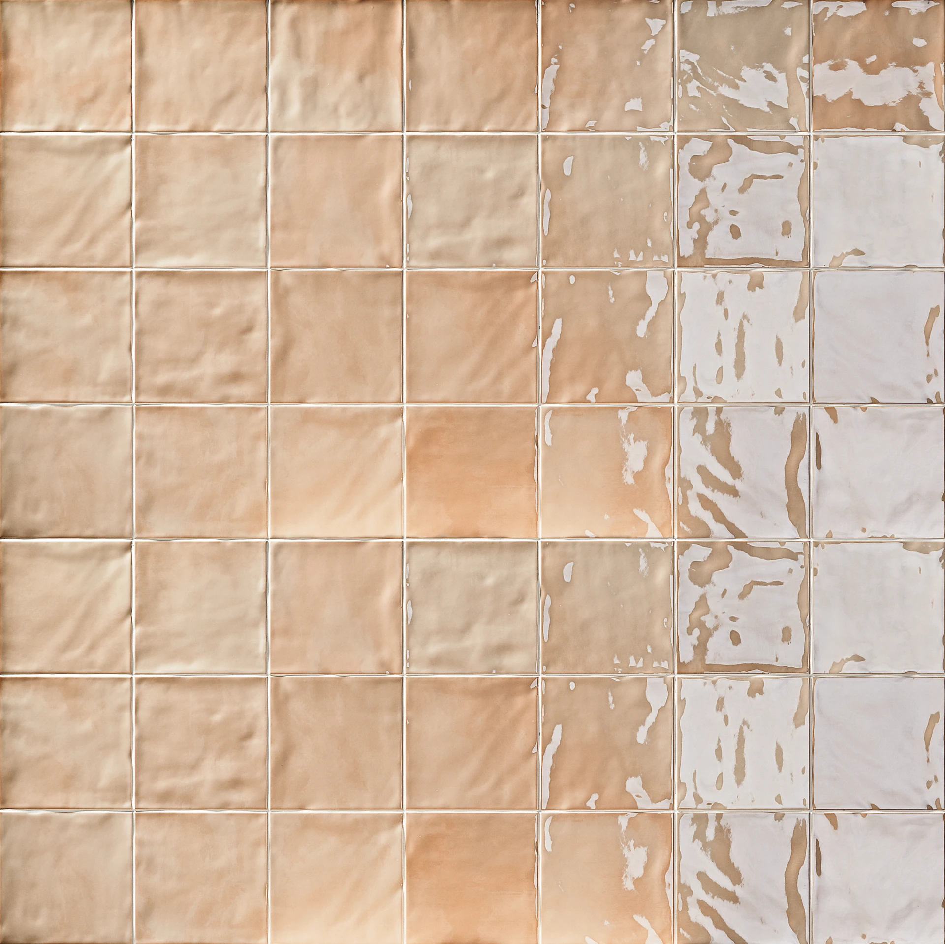 Collection environment image