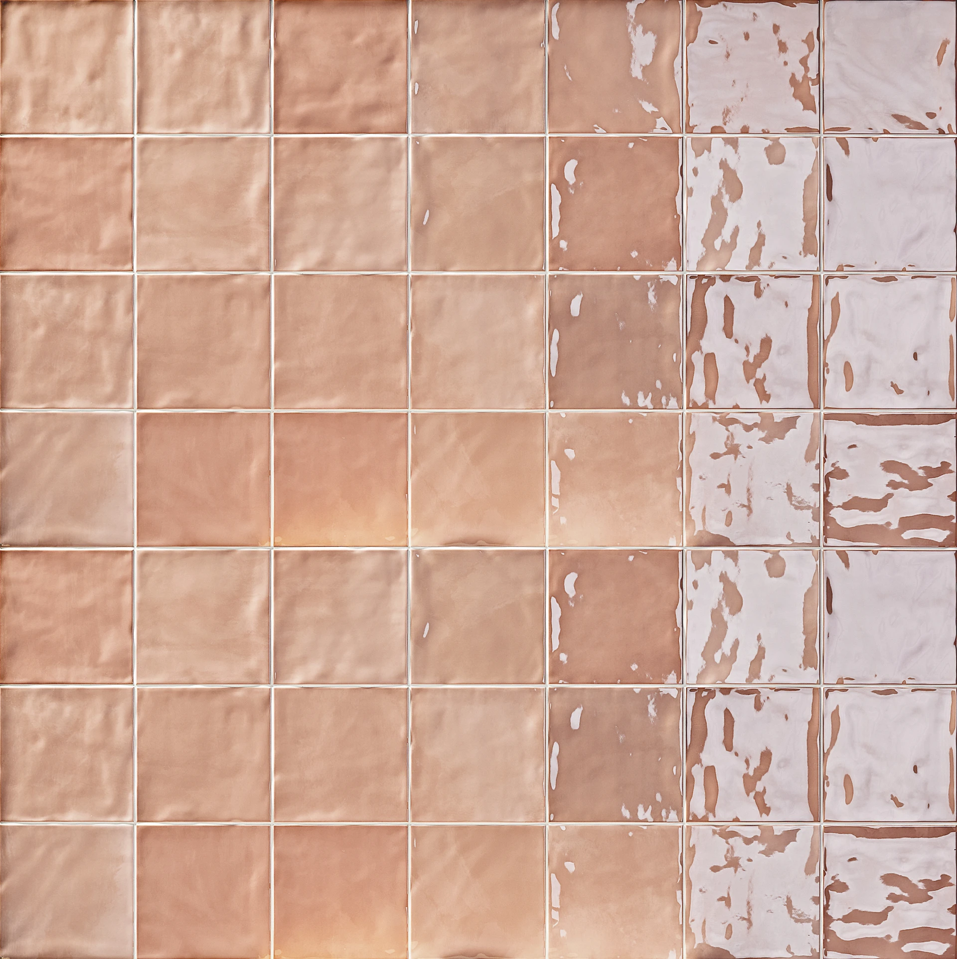 Collection environment image