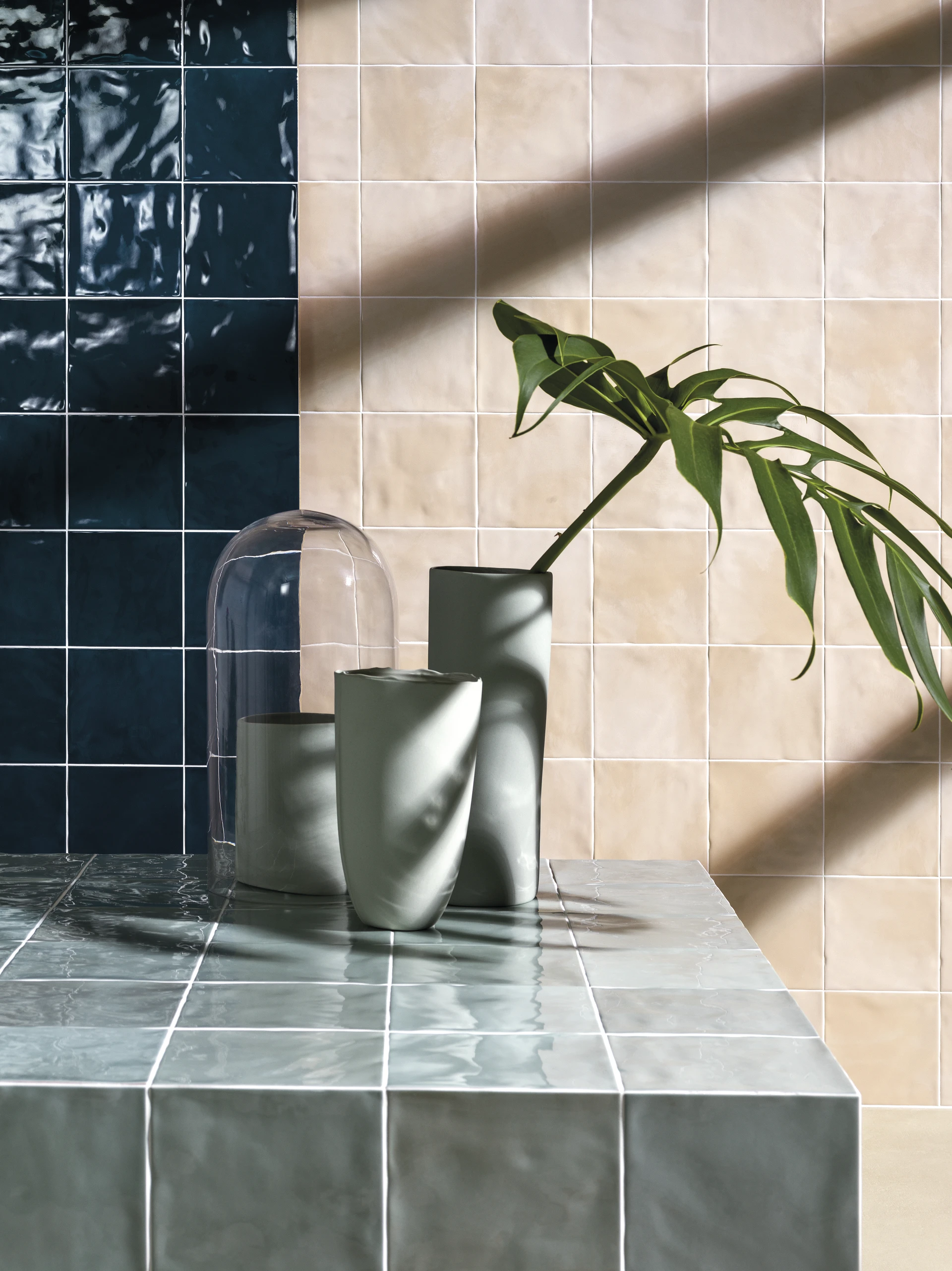 Collection environment image