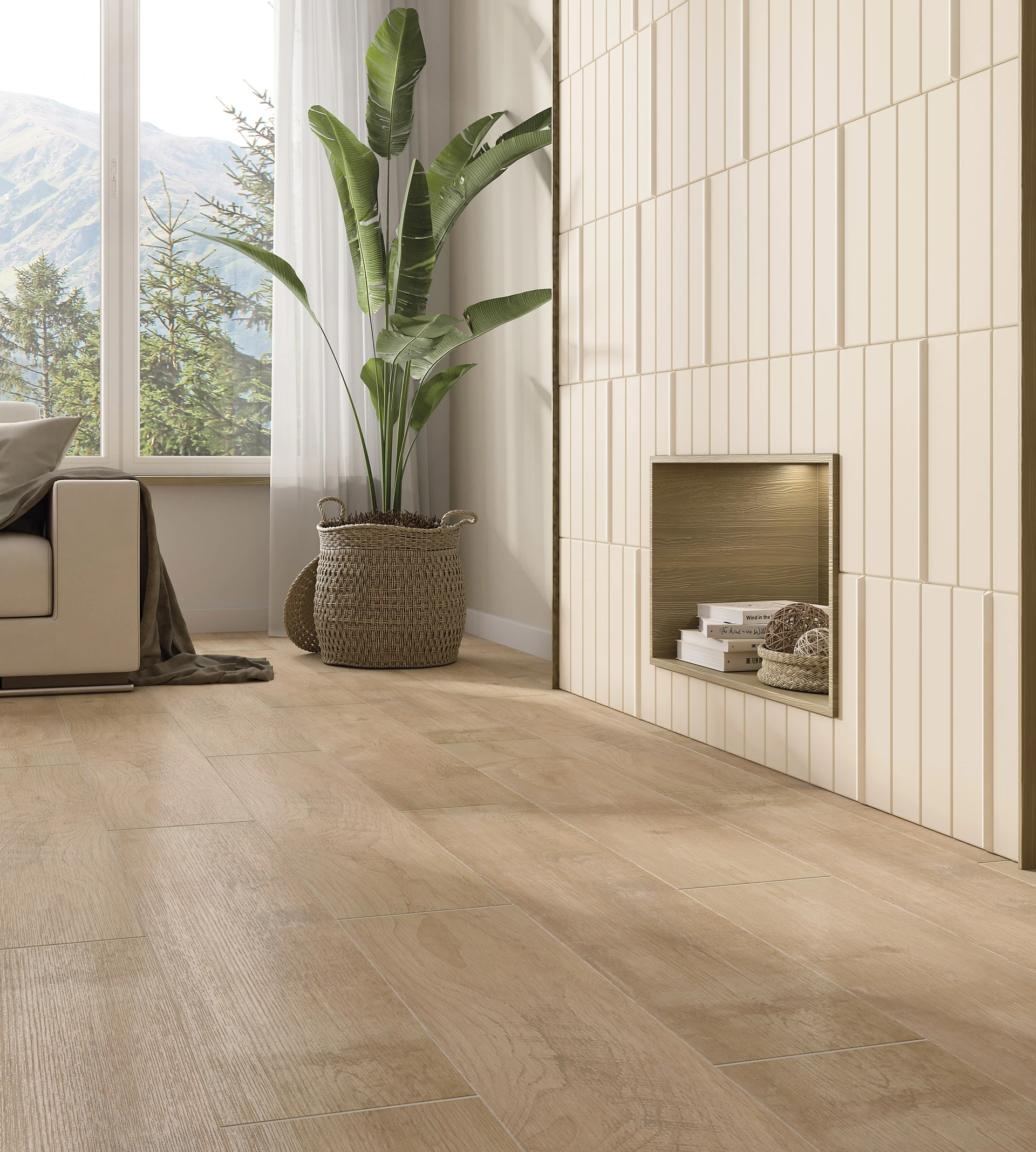 Collection environment image