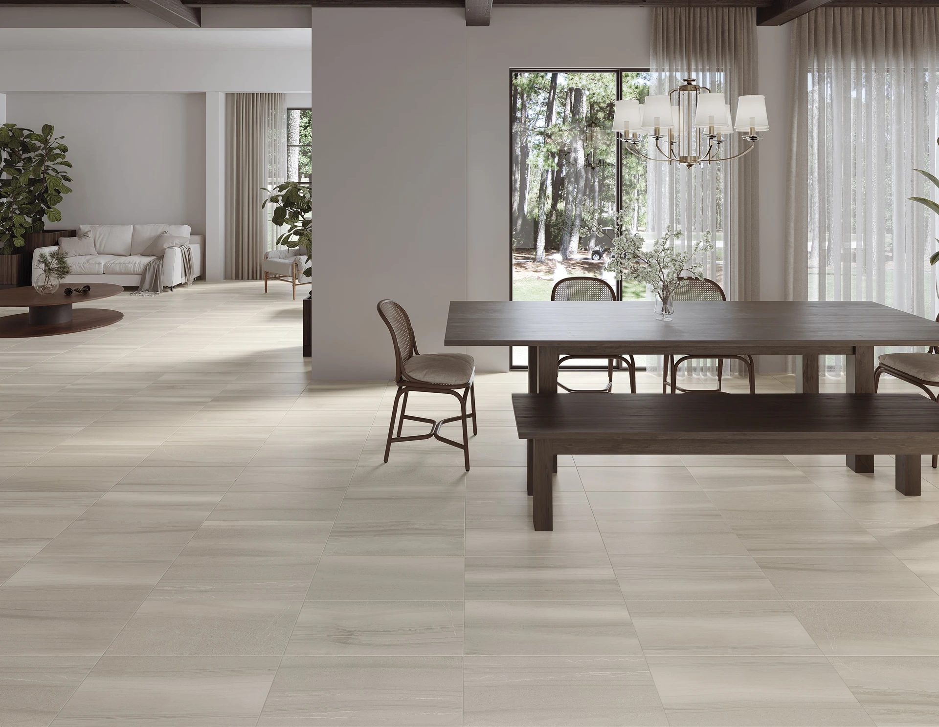 Collection environment image