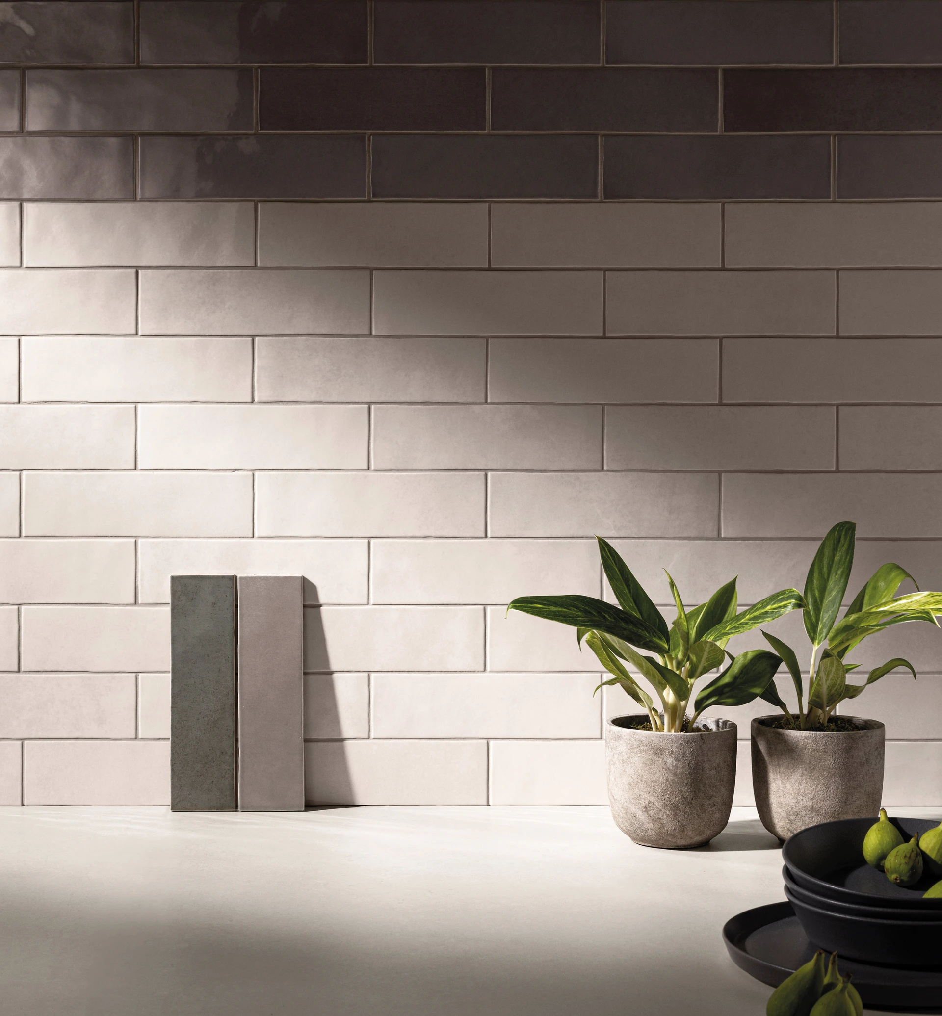 Collection environment image