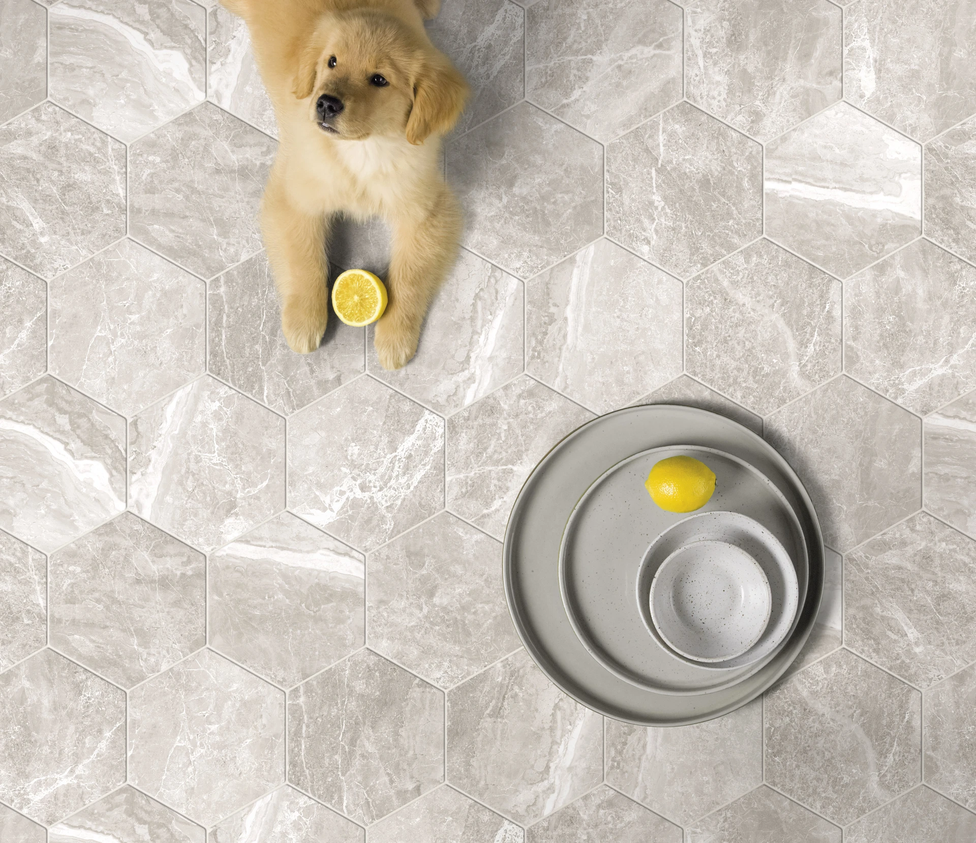 Collection environment image