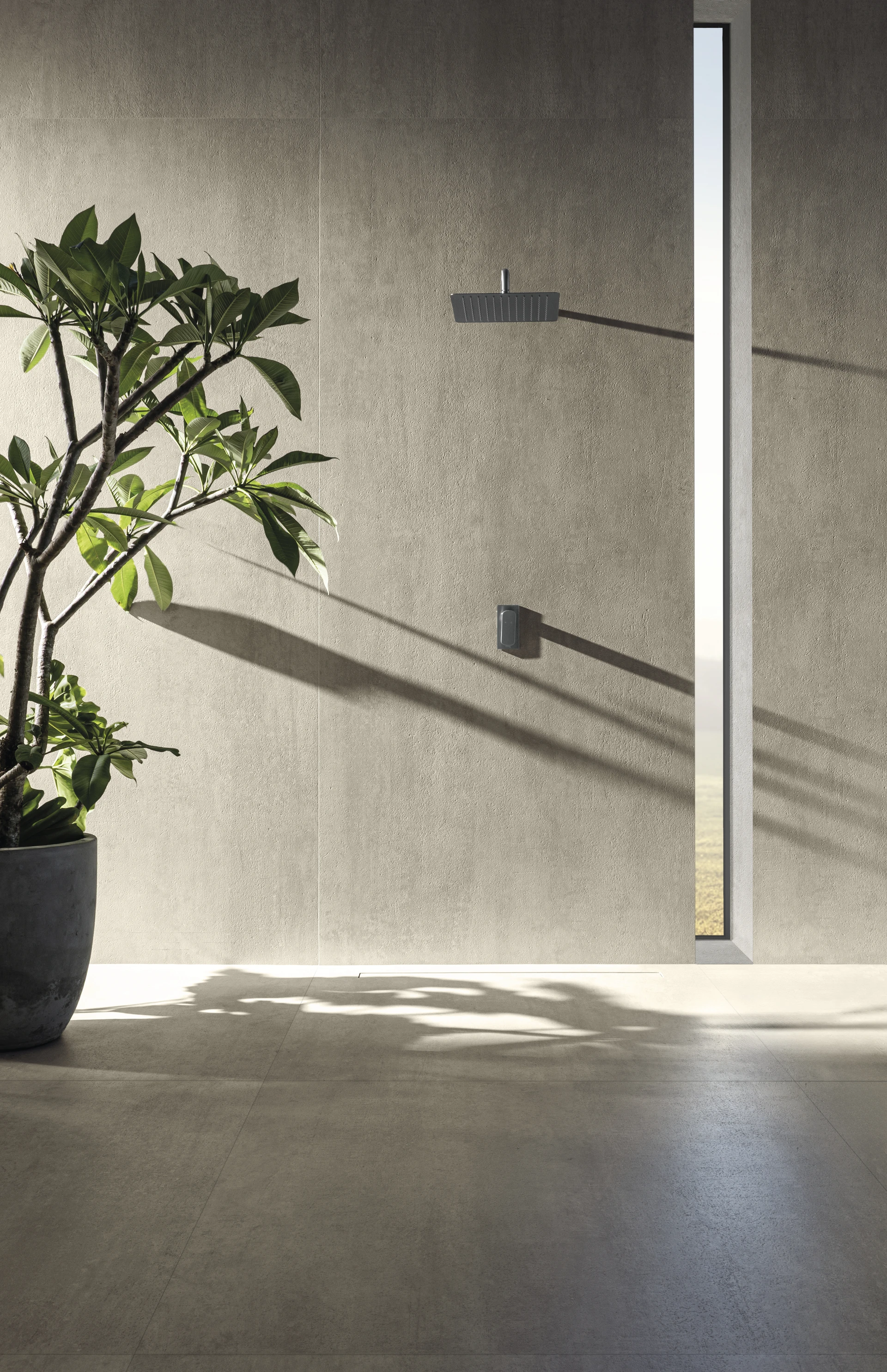 Collection environment image