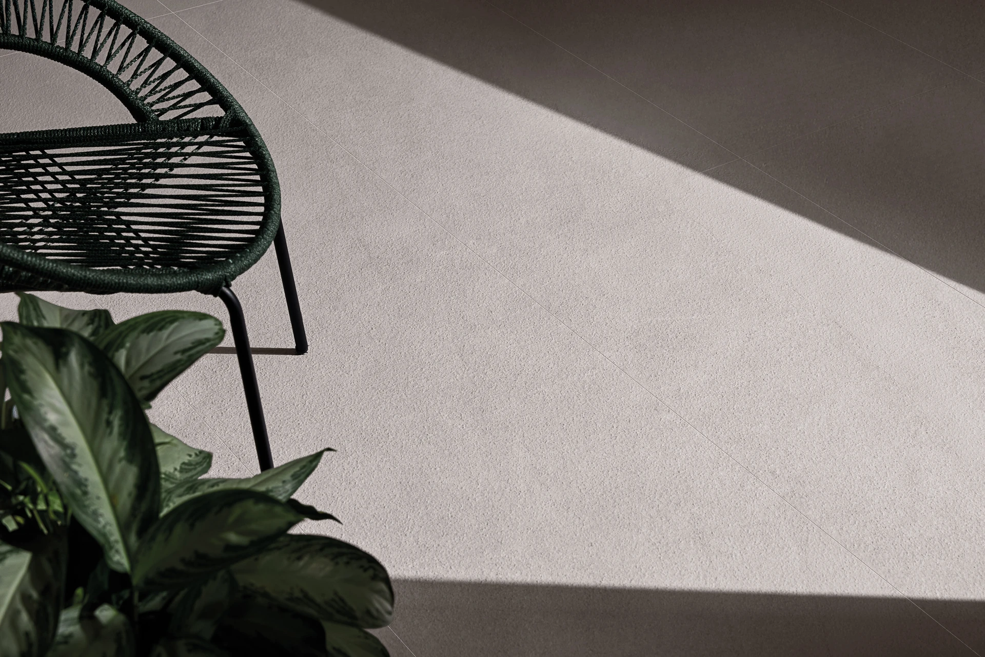 Collection environment image