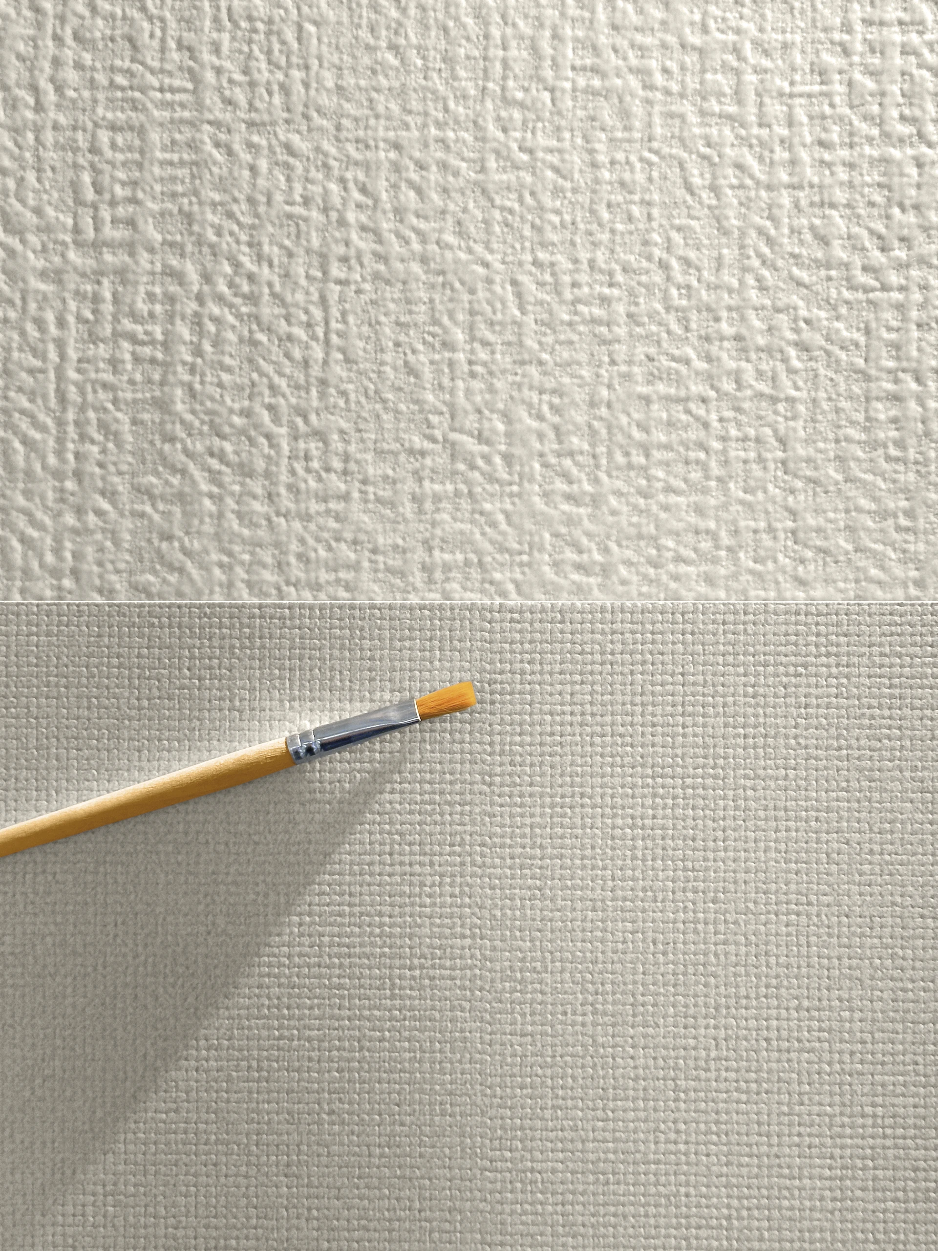 Collection environment image