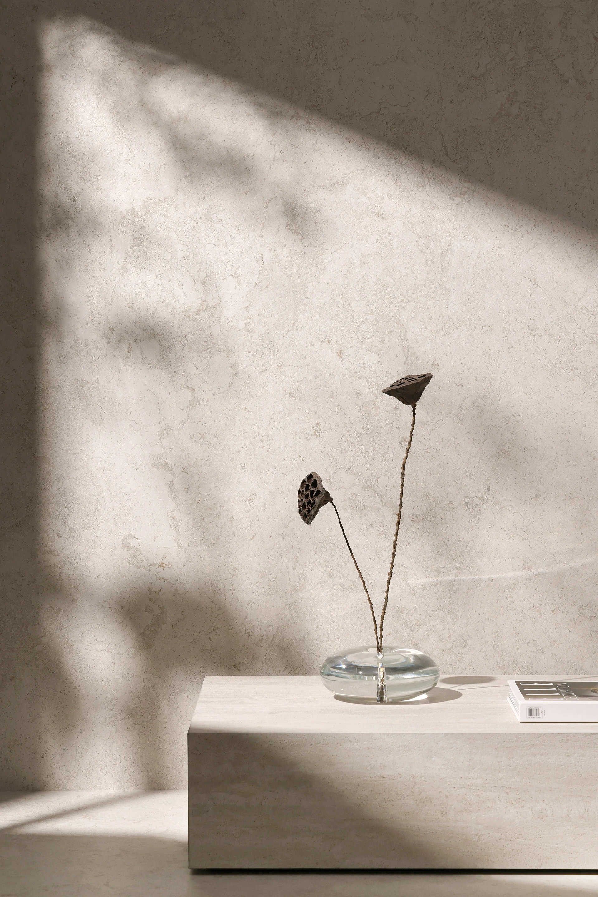 Collection environment image