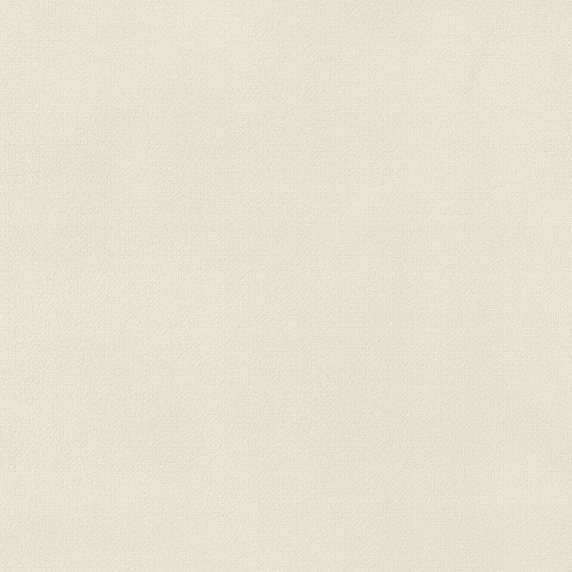 CANVAS INTENSE 1