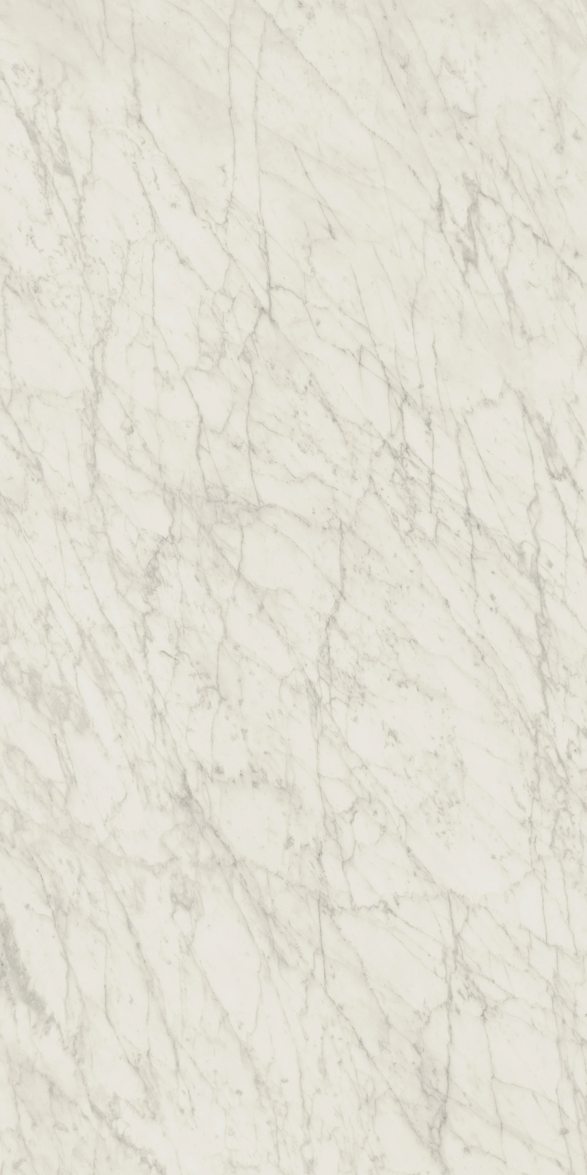CARRARA ICON 1