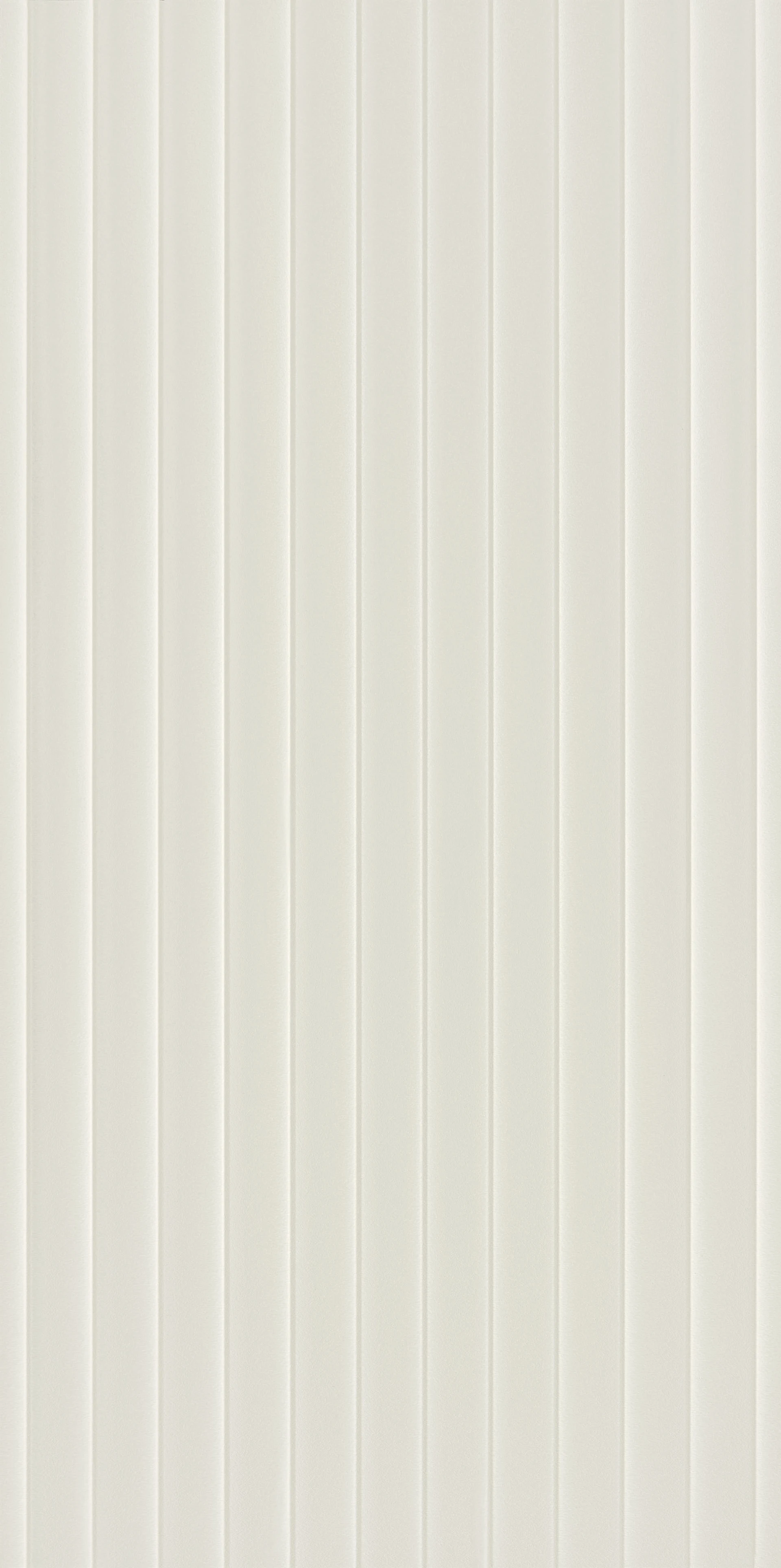 DUAL BIANCO CONCAVO 1