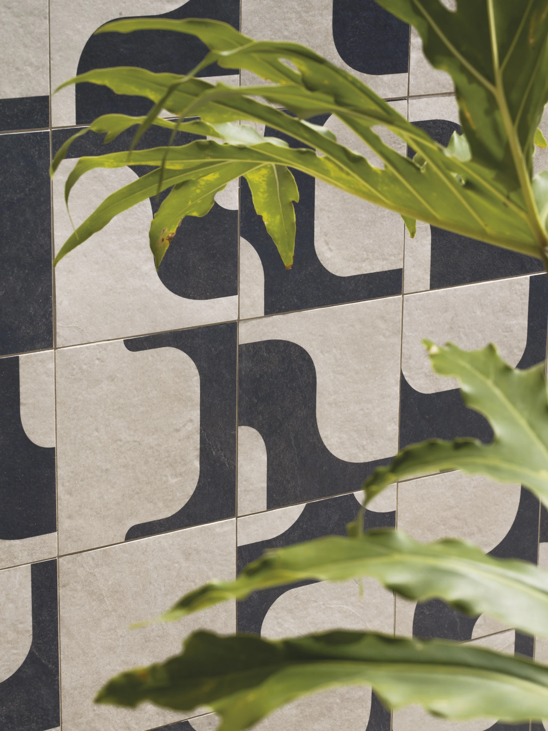 Neotropical Black Mix 2