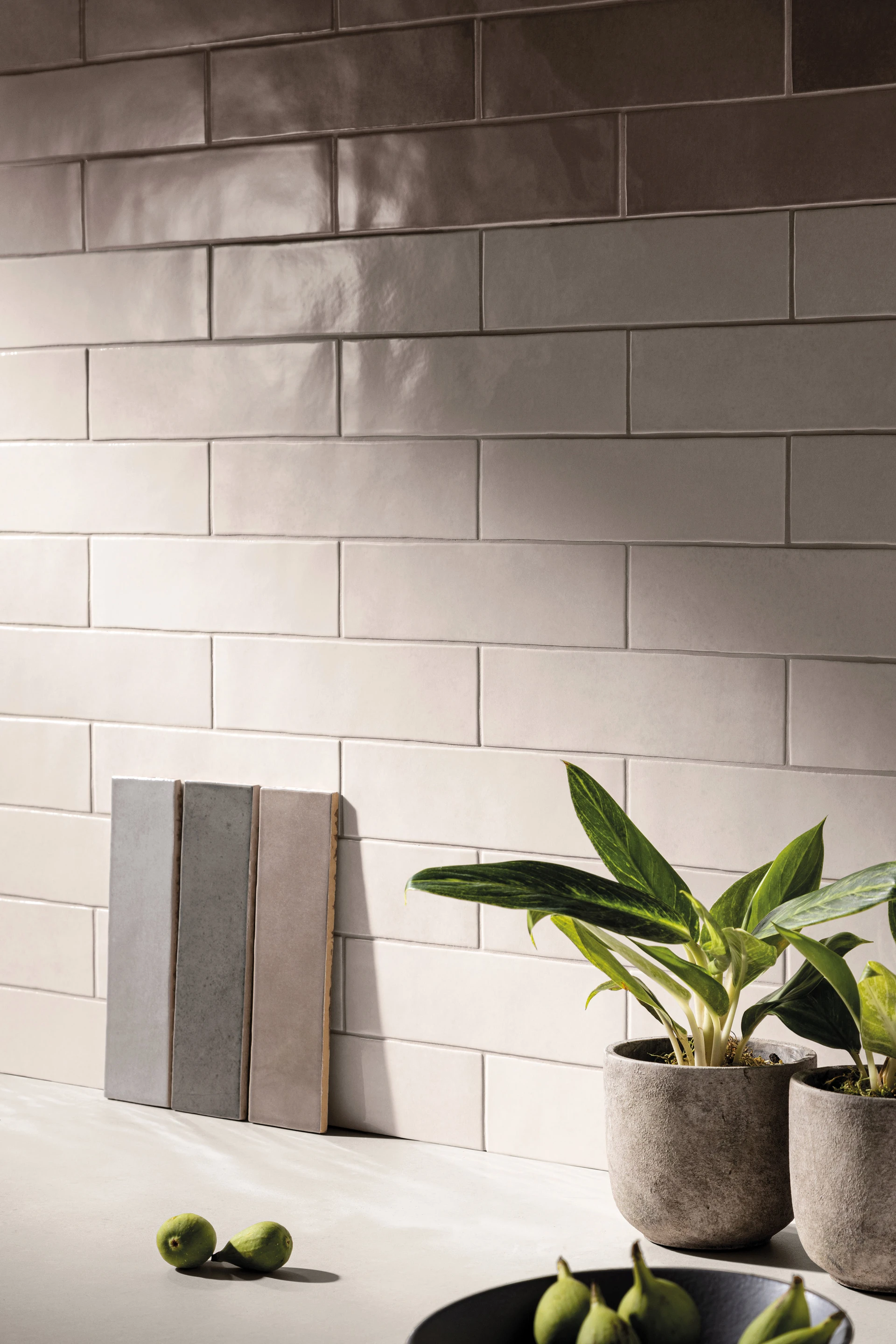 HIGHLAND LAKE OLIVE 2