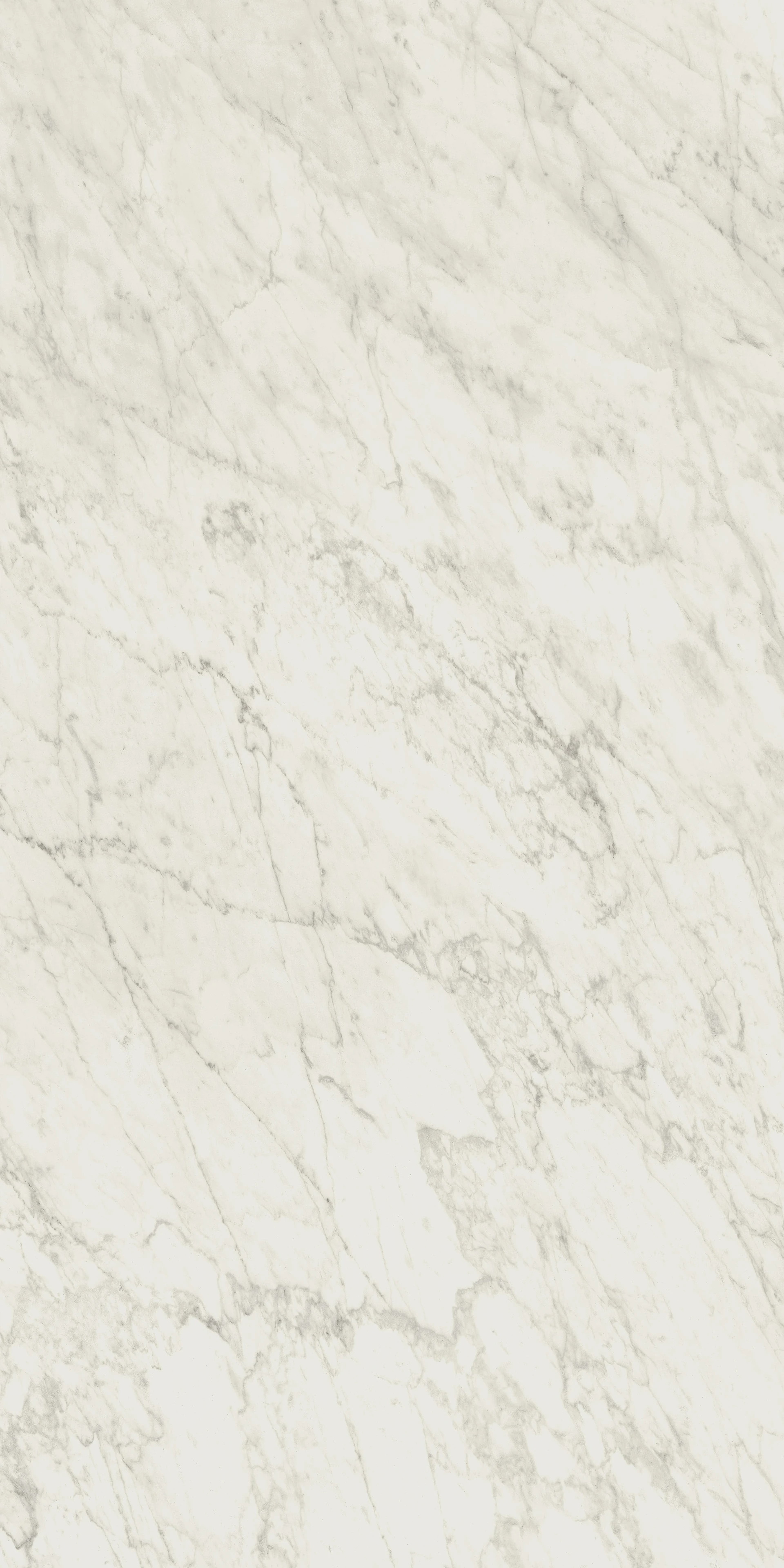 Product Carrara Icon