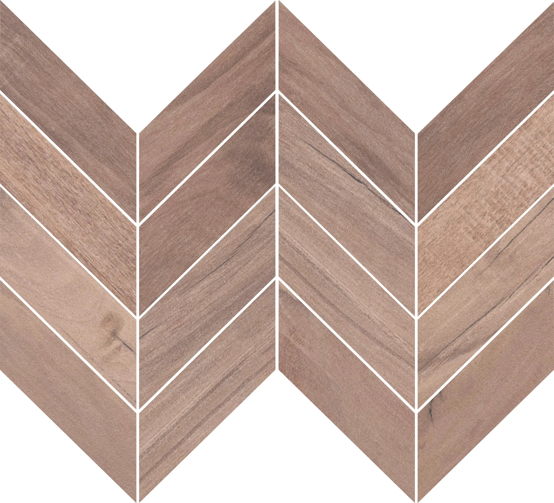 Product Arca Tropical