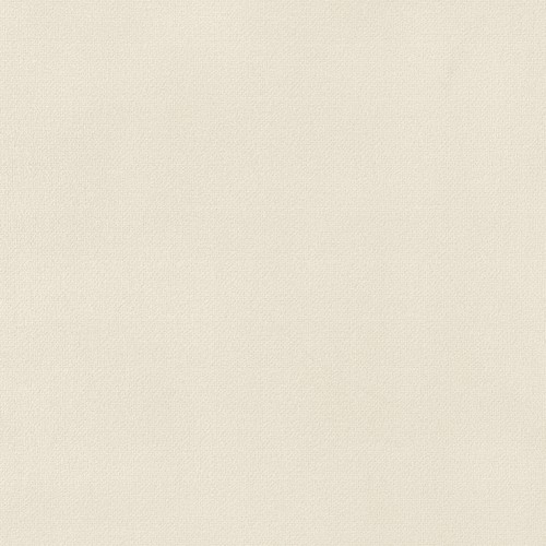 Image for CANVAS INTENSE