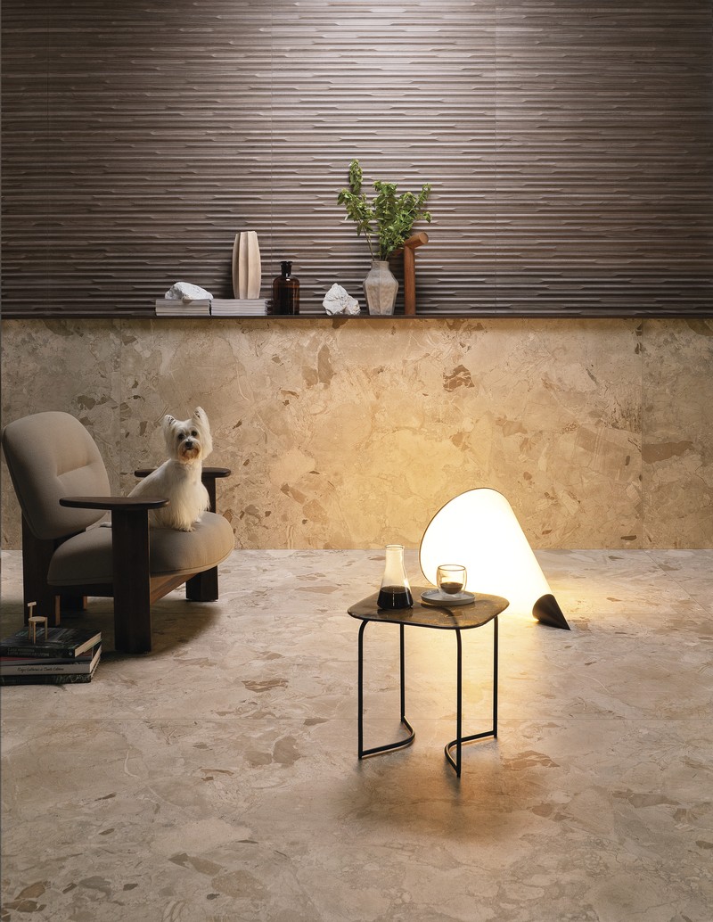 Collection environment image