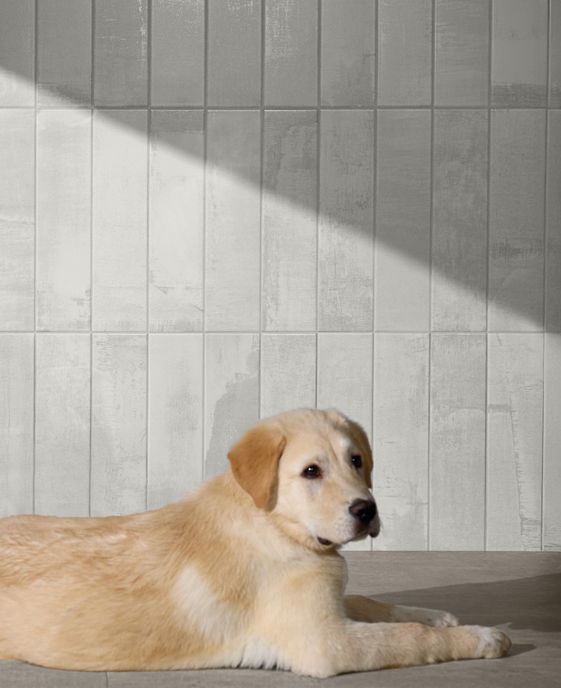 Collection environment image