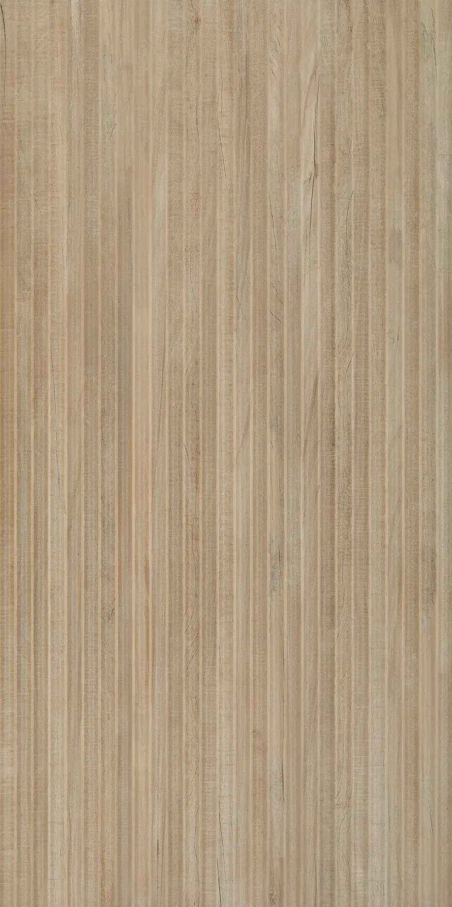 ARCA NORDIC CONVESSO