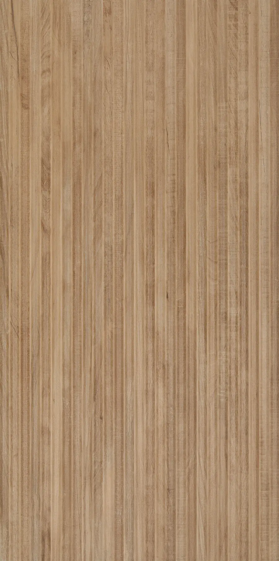 ARCA TROPICAL CONVESSO