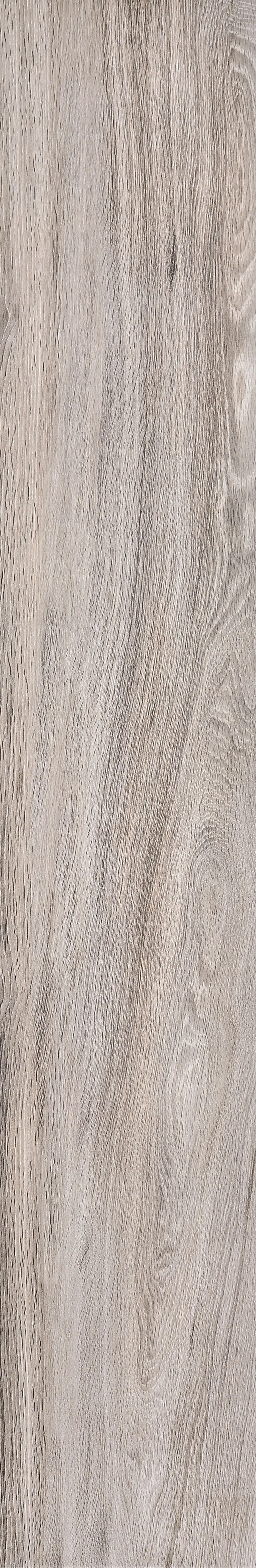 ARCHITECH OAK GRAY