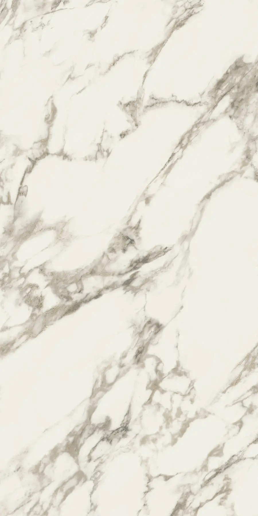 BORGHINI CLASSICO 1