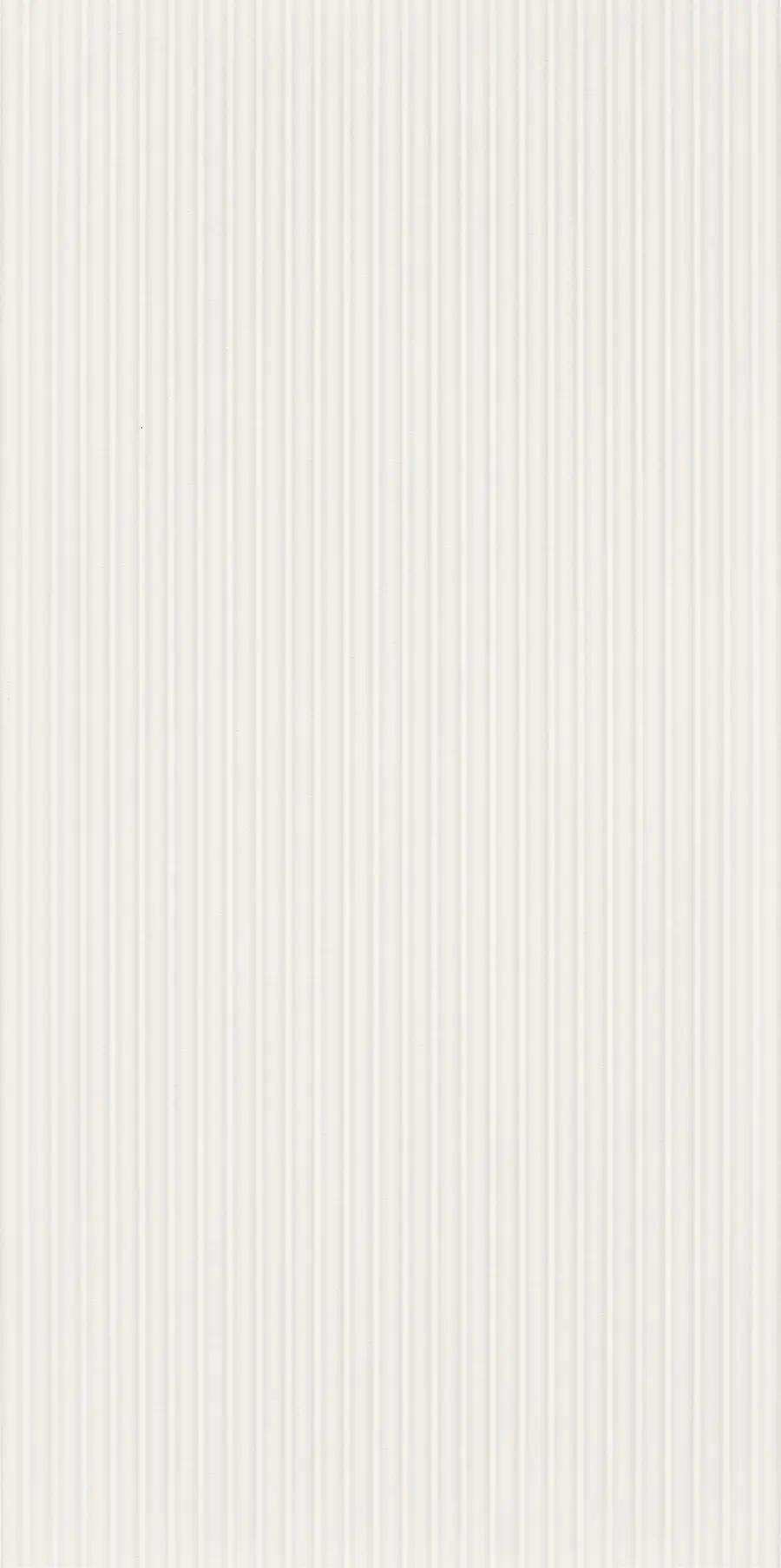 DUAL BIANCO CONVESSO